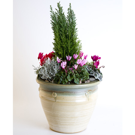 Seasonal Outdoor Planter Mixed Selection of Plants in a Glazed Pot Reference: PL3